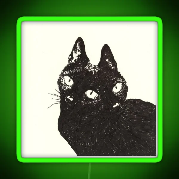 KITTY RGB Neon Sign
