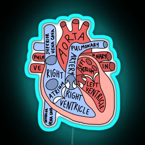 Labeled Anatomical Heart RGB Neon Sign