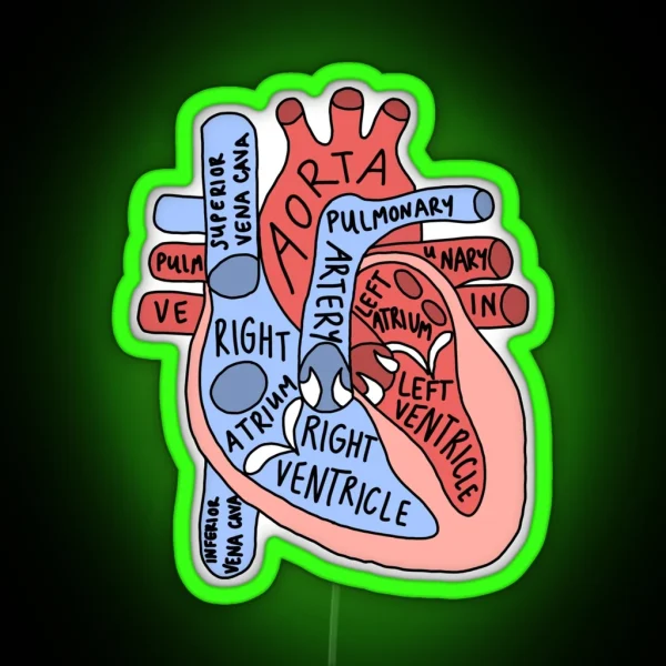 Labeled Anatomical Heart RGB Neon Sign