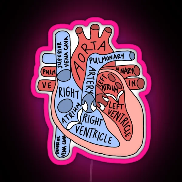 Labeled Anatomical Heart RGB Neon Sign