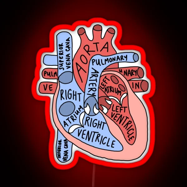 Labeled Anatomical Heart RGB Neon Sign