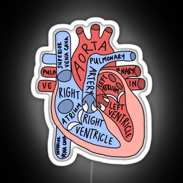 Labeled Anatomical Heart RGB Neon Sign
