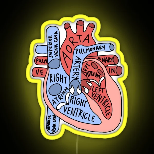 Labeled Anatomical Heart RGB Neon Sign