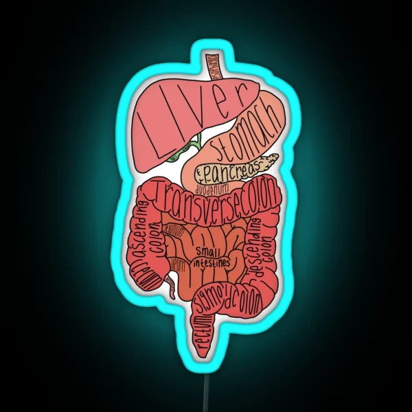 Labeled Intestine Anatomy RGB Neon Sign