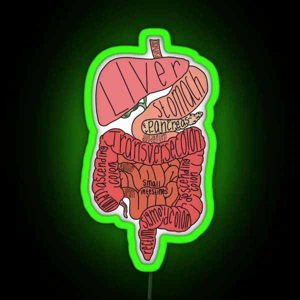 Labeled Intestine Anatomy RGB Neon Sign