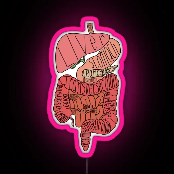 Labeled Intestine Anatomy RGB Neon Sign