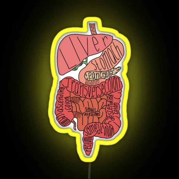 Labeled Intestine Anatomy RGB Neon Sign