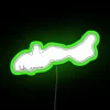 Unique Lake Geneva Cityscape Illuminated with Color-Changing RGB Neon Light Sign