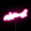 RGB LED canvas with vibrant color changing effects like neon lights