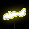 RGB Color Changing Neon Sign for Lake Geneva Decorations and Ambiance