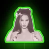 Vibrant Lana Del Rey Ocean Boulevard inspired RGB neon light decoration.