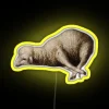 Colorful Lap Vona Lamb Rgb Neon Light Sign Display Board