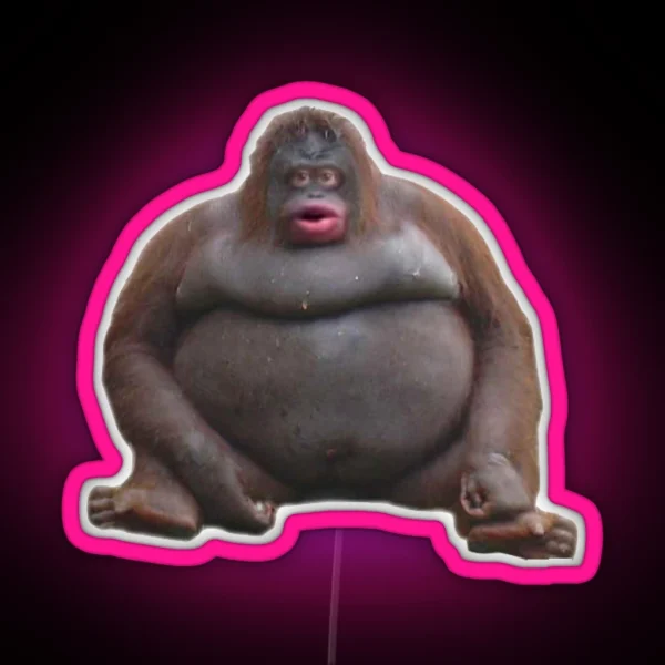Le Monke RGB Neon Sign