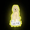 Vibrant Golden Doodle Pet Portrait RGB Color Changing Neon Sign Display