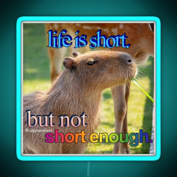 Life Is Short Capybara Meme RGB Neon Sign