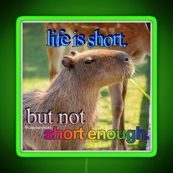 Life Is Short Capybara Meme RGB Neon Sign