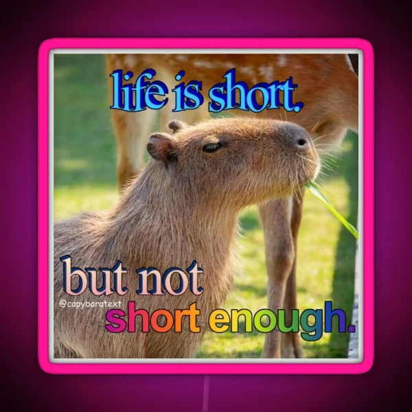 Life Is Short Capybara Meme RGB Neon Sign