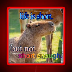 Life Is Short Capybara Meme RGB Neon Sign