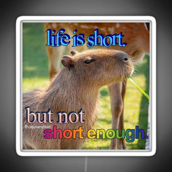 Life Is Short Capybara Meme RGB Neon Sign