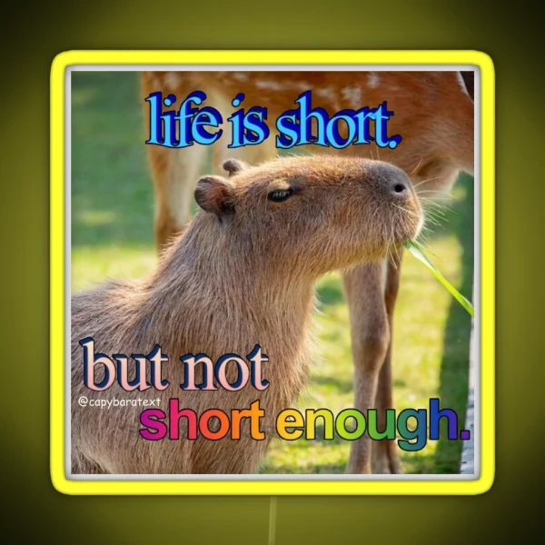Life Is Short Capybara Meme RGB Neon Sign