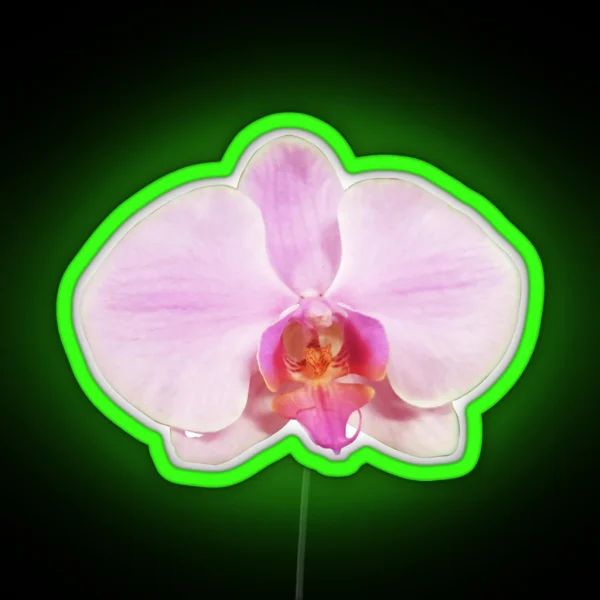 Light Pink Phalaenopsis RGB Neon Sign