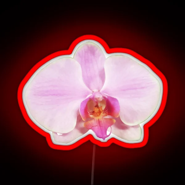Light Pink Phalaenopsis RGB Neon Sign