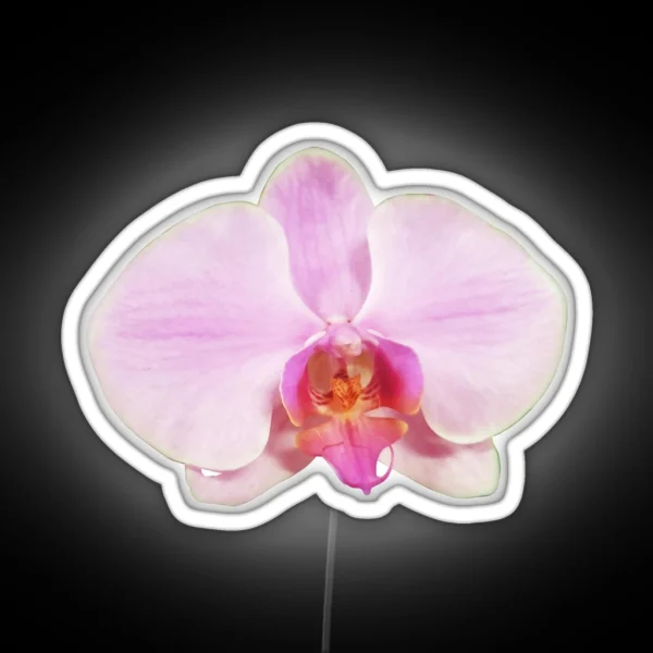 Light Pink Phalaenopsis RGB Neon Sign