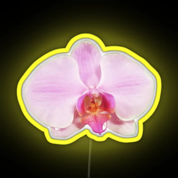 Light Pink Phalaenopsis RGB Neon Sign