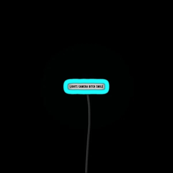 Lights Camera Bitch Smile TTPD RGB Neon Sign