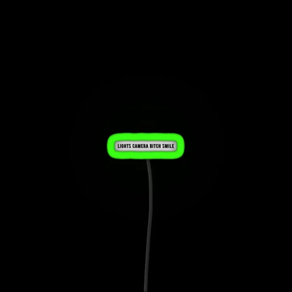 Lights Camera Bitch Smile TTPD RGB Neon Sign
