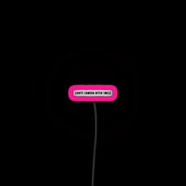 Lights Camera Bitch Smile TTPD RGB Neon Sign