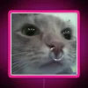 Luminous RGB illuminated neon sign featuring a limping cartoon cat