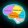 Neon Brain Lobes Sign for Modern Home Decor and Learning Spaces