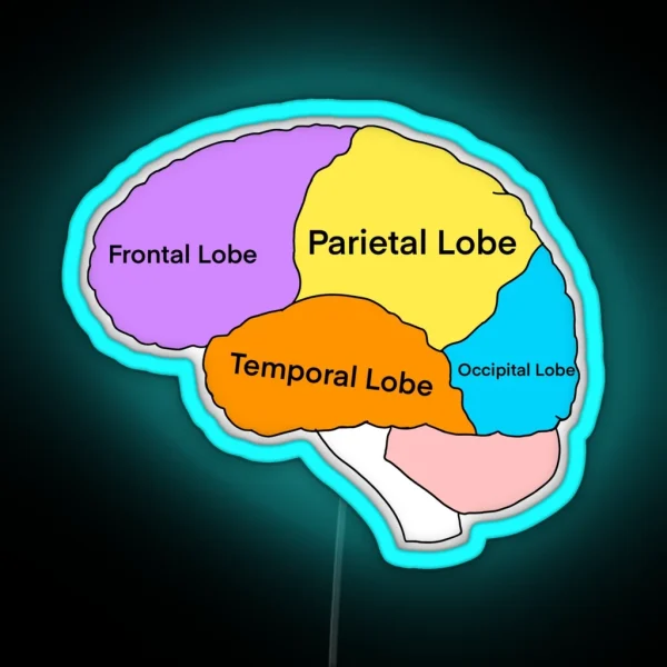 Lobes Of The Brain RGB Neon Sign