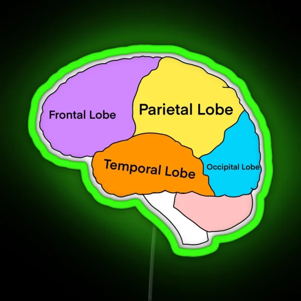 Lobes Of The Brain RGB Neon Sign