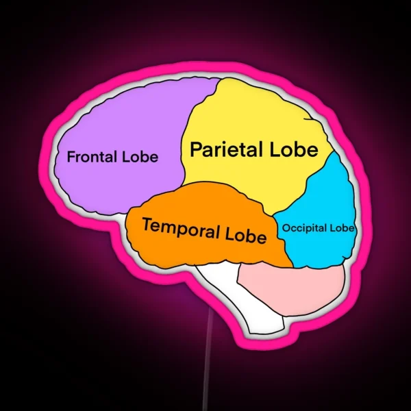 Lobes Of The Brain RGB Neon Sign