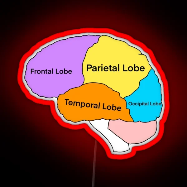 Lobes Of The Brain RGB Neon Sign