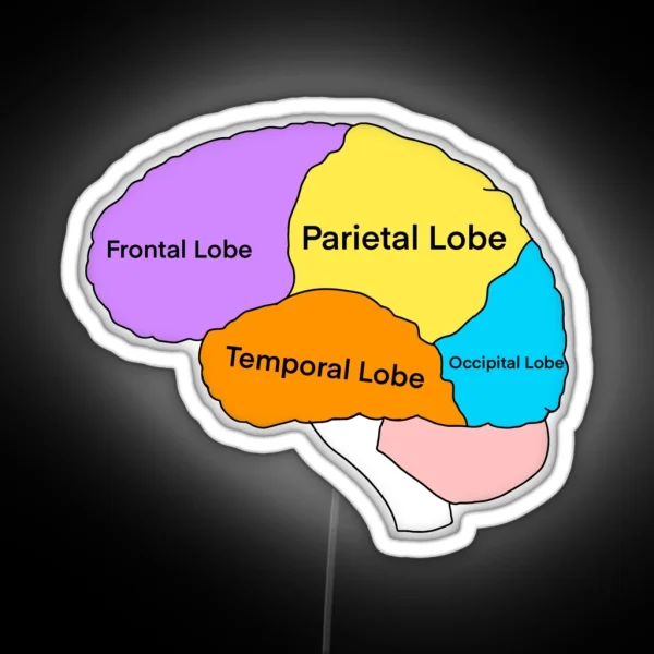Lobes Of The Brain RGB Neon Sign