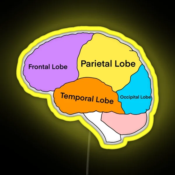 Lobes Of The Brain RGB Neon Sign