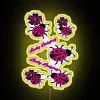 Vibrant lucky ladybug LED neon sign with colorful RGB lighting effect