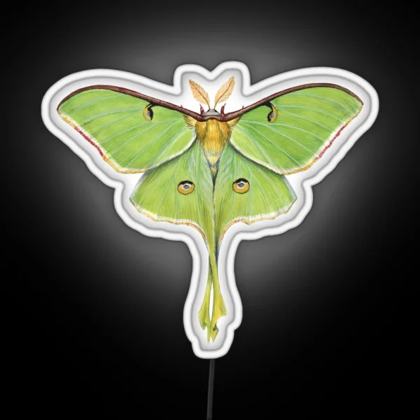 Luna Moth Actias Luna II RGB Neon Sign