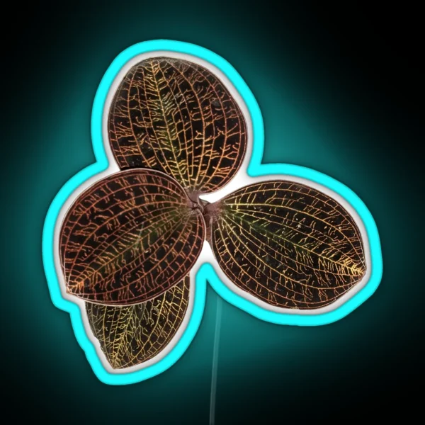 Macodes Lowii Jewel Orchid RGB Neon Sign