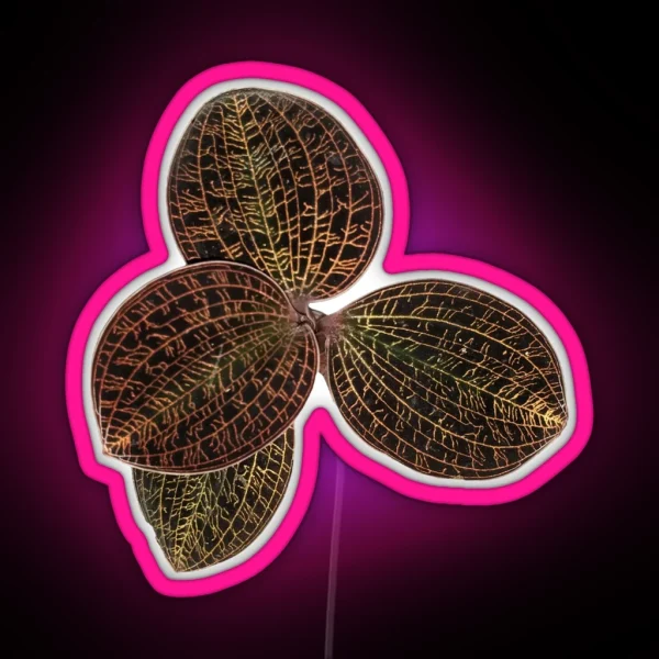 Macodes Lowii Jewel Orchid RGB Neon Sign