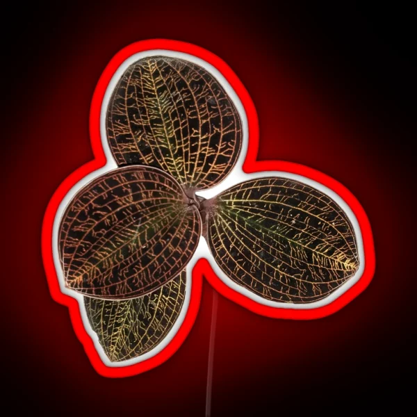 Macodes Lowii Jewel Orchid RGB Neon Sign