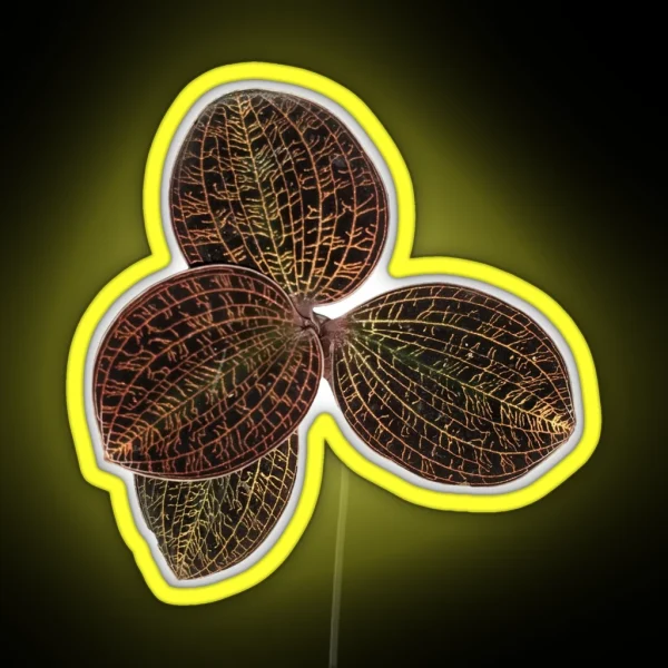 Macodes Lowii Jewel Orchid RGB Neon Sign