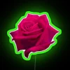 Vibrant magenta rose pattern in multicolored RGB neon glow effect.