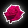 Vibrant Magenta Rose Pattern Illuminated Neon Sign for Modern Home Decor
