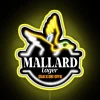Dazzling Mallard Lager branded RGB LED bar pub signage