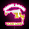 Vibrant Maryland Craft Beer Map led Sign for Home Decor Enthusiasts