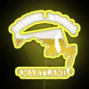 Neon Maryland Beer Map Sign for Local Brewmaster Gifts and Decor.